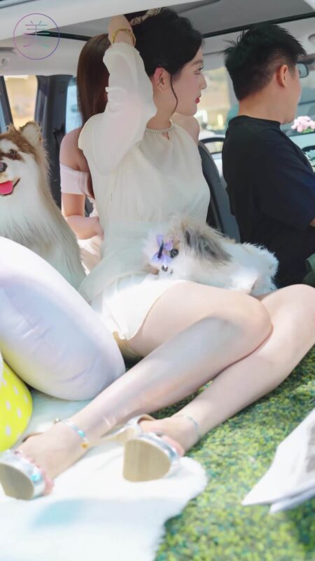 精选NO.1520 2024 广州车展 网荭美女车模 beautyleg LOOKBOOK 01[30P]-草丛看图