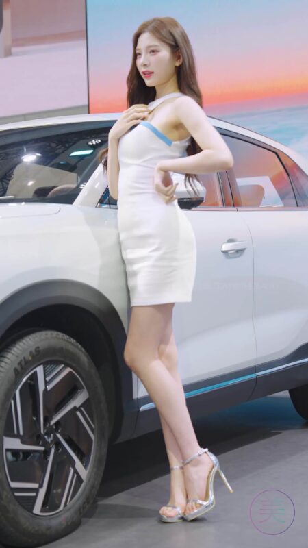 精选NO.1569 2024 广州车展 网荭美女车模 beautyleg LOOKBOOK 25[30P]-草丛看图