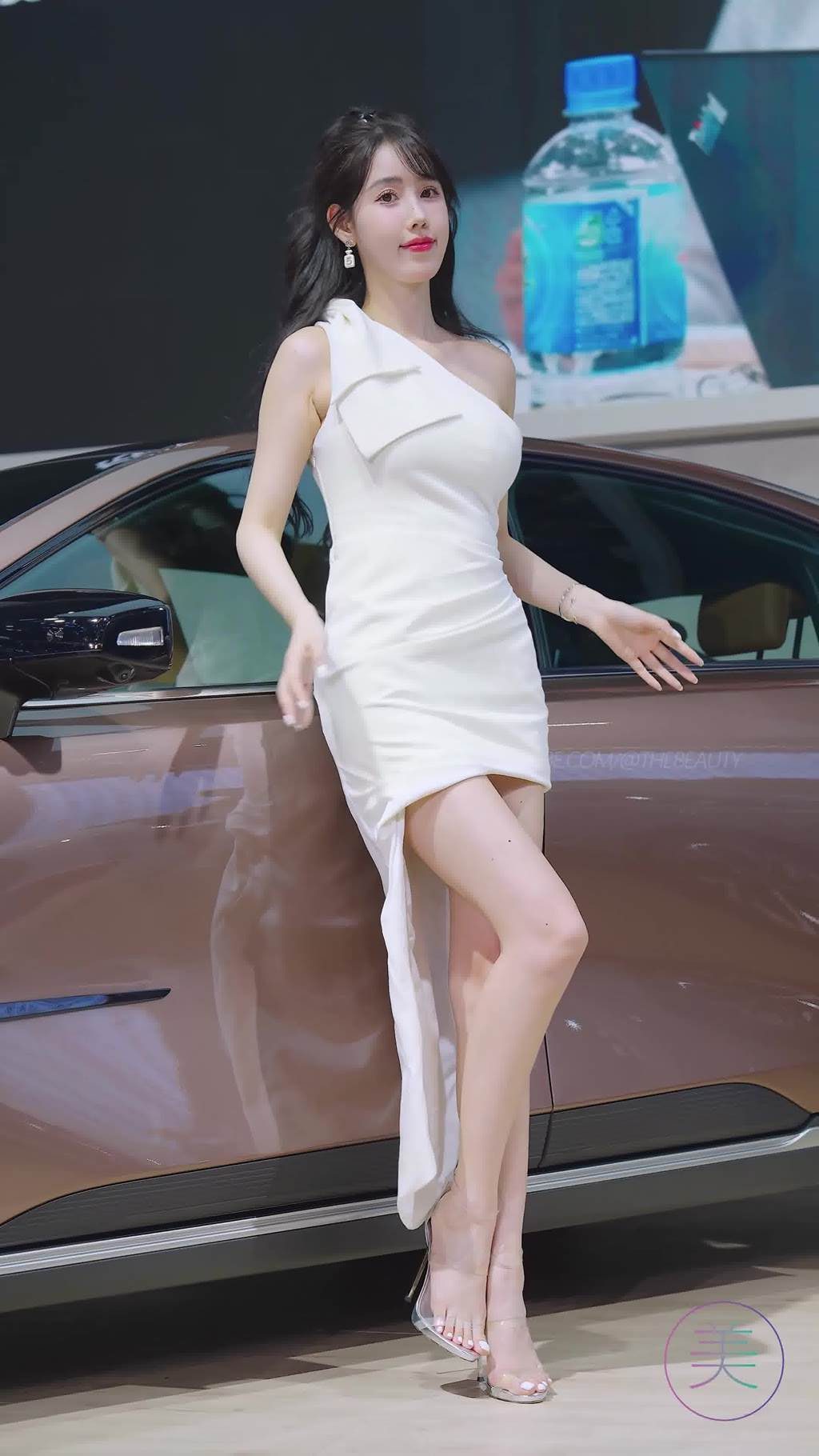 图片[6]-精选NO.1534 2024 广州车展 网荭美女车模 beautyleg LOOKBOOK 15[30P]-草丛看图