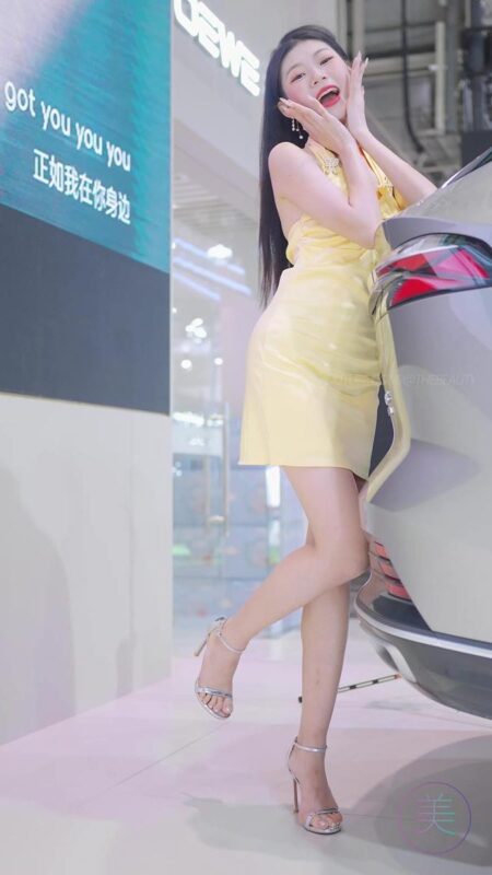 精选NO.1139 2023 东莞秋季车展 Racing Model ROEWE车模22[20P]-草丛看图