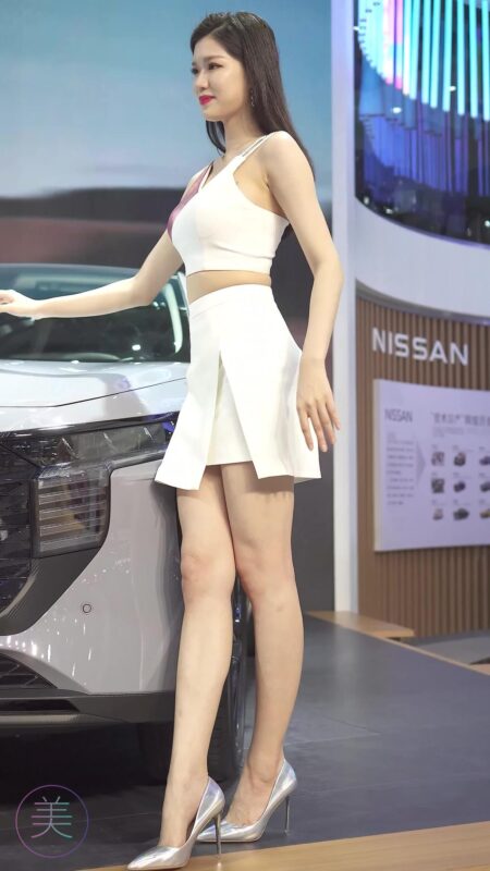 精选NO.0288 2021 深圳车展 Racing Model NISSAN车模01[20P]-草丛看图