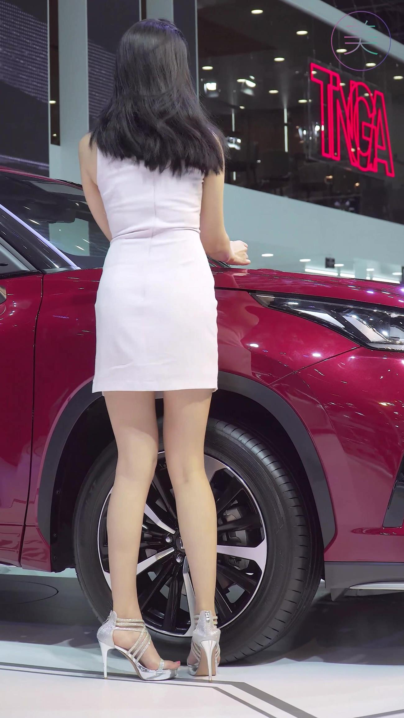 图片[5]-精选NO.0315 2021 深圳大湾区车展 Racing Model TOYOTA车模05[20P]-草丛看图