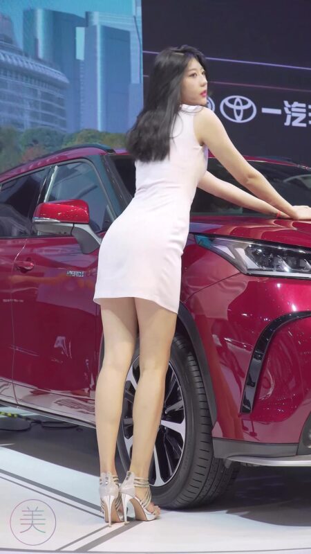 精选NO.0315 2021 深圳大湾区车展 Racing Model TOYOTA车模05[20P]-草丛看图