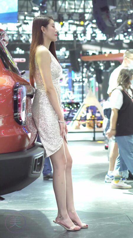 精选NO.0304 2021 深圳大湾区车展 Racing Model HAVAL车模01[20P]-草丛看图