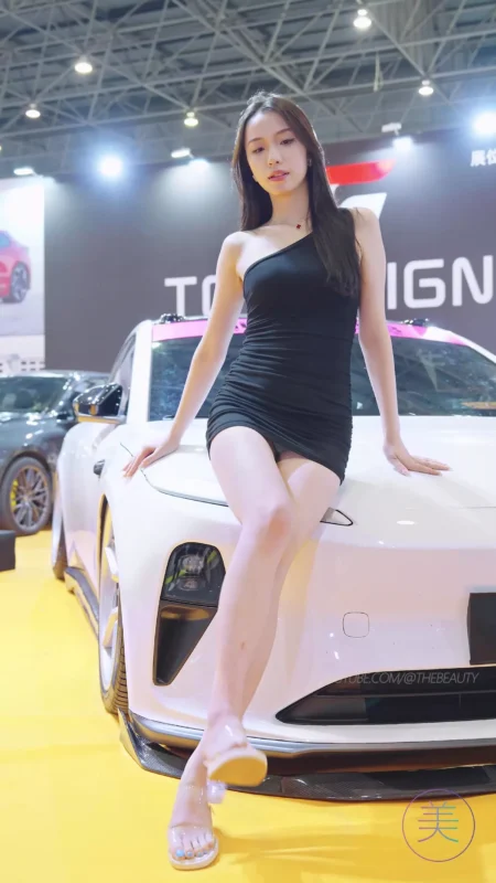 精选NO.0371 2023 东莞AIT改装车展 Auto Salon Racing Model 12[20P]-草丛看图