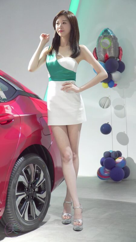 精选NO.0302 2021 深圳大湾区车展 Racing Model AION车模06[20P]-草丛看图