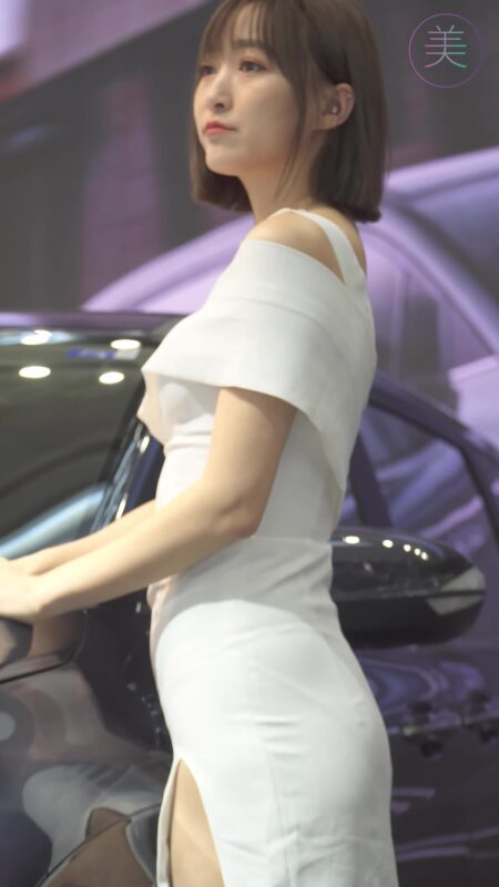 精选NO.0281 2021 深圳车展 Racing Model HYUNDAI车模01[20P]-草丛看图