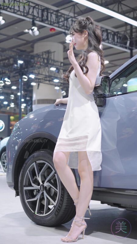 精选NO.0341 2022 广州车展 Racing Model WEY车模04[20P]-草丛看图