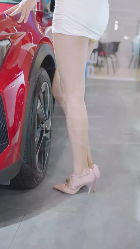 精选NO.0425 2023 东莞秋季车展 Racing Model Citroen车模07[20P]-草丛看图