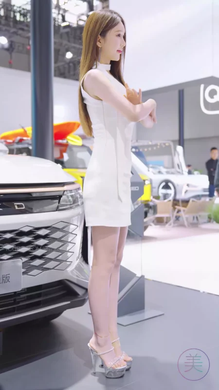 精选NO.0492 2023 广州车展 Racing Model 哪EXEED车模 01[20P]-草丛看图