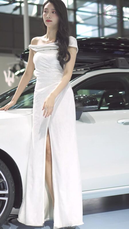 精选NO.0297 2021 深圳车展 Racing Model VOLVO车模03[20P]-草丛看图