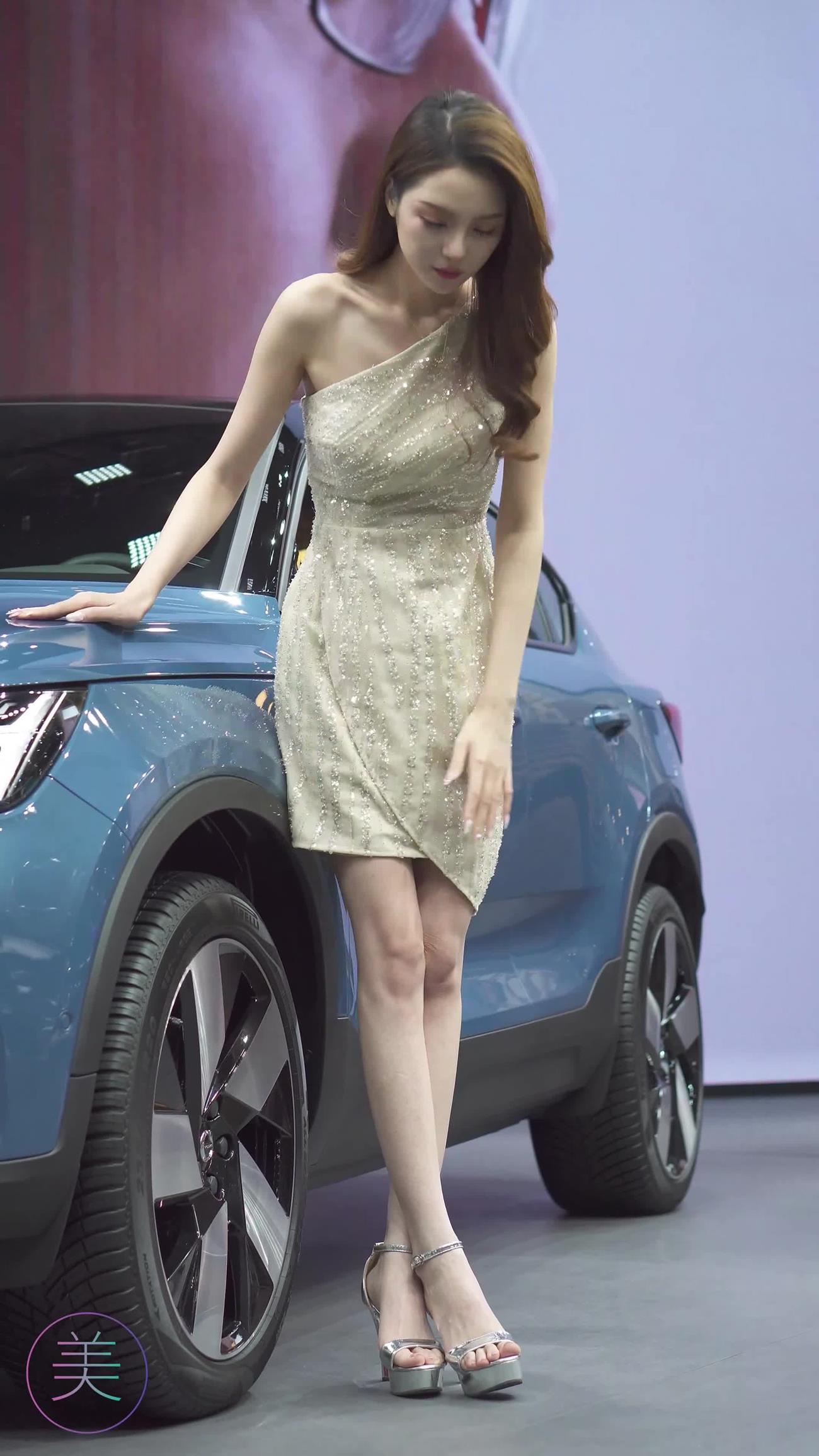 图片[3]-精选NO.0209 2021 广州车展 Racing Model VOLVO车模01[20P]-草丛看图