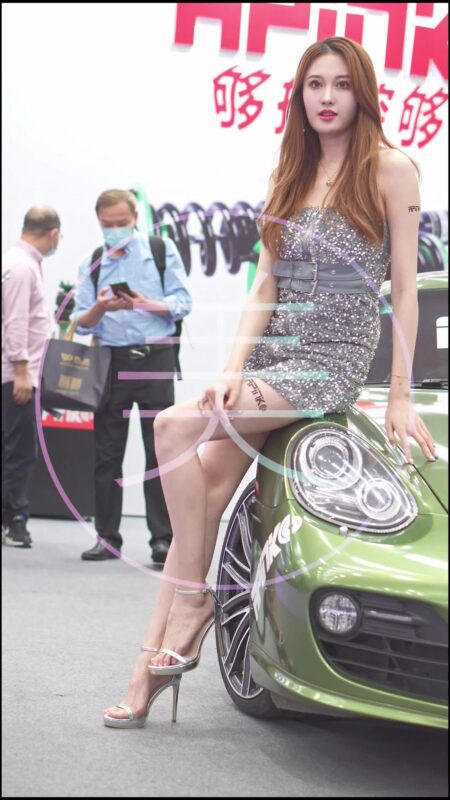 精选NO.0112 2021 佛山GTShow改装车展 Auto Salon Racing Model[20P]-草丛看图