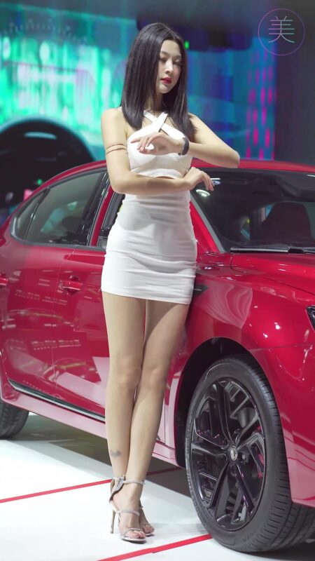 精选NO.0249 2021 广州华南车展 MG车模02[20P]-草丛看图