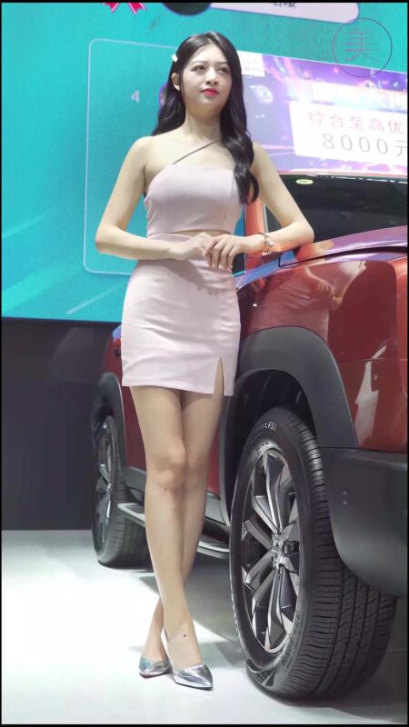 精选NO.0014 2020 南宁东盟车展 Racing Model HAVAL车模02[20P]-草丛看图