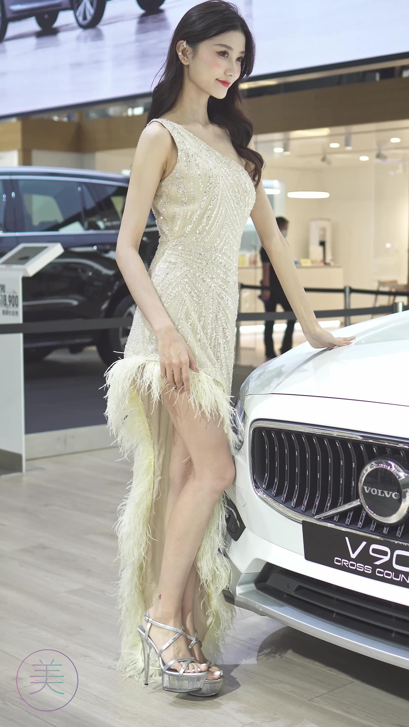 图片[3]-精选NO.0296 2021 深圳车展 Racing Model VOLVO车模02[20P]-草丛看图