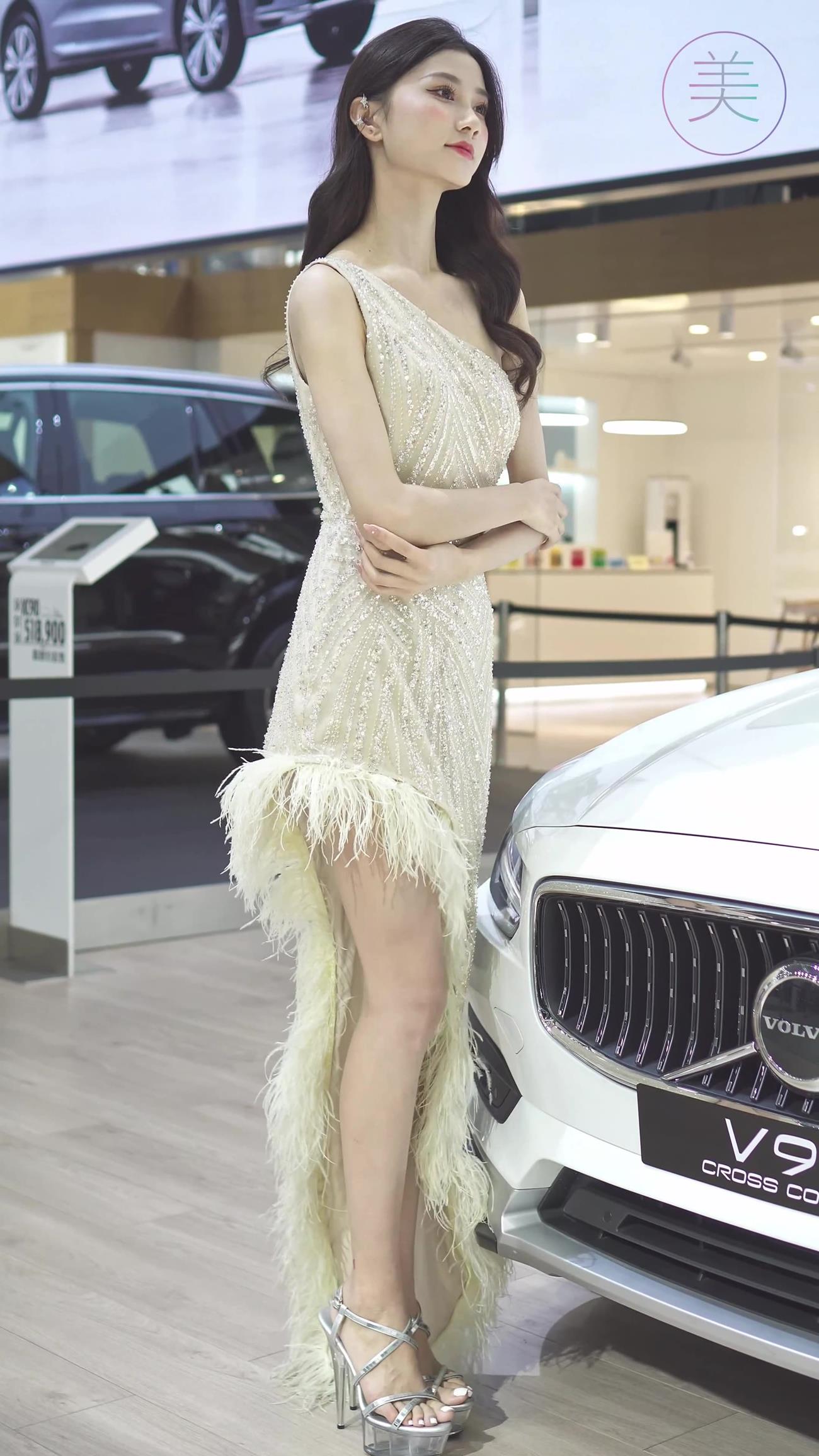 图片[4]-精选NO.0296 2021 深圳车展 Racing Model VOLVO车模02[20P]-草丛看图