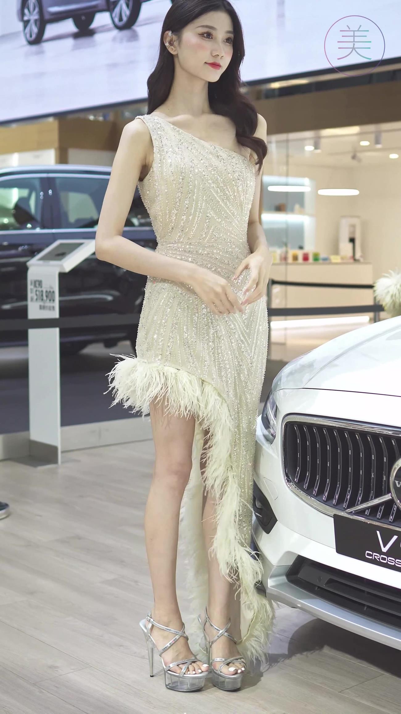 图片[5]-精选NO.0296 2021 深圳车展 Racing Model VOLVO车模02[20P]-草丛看图