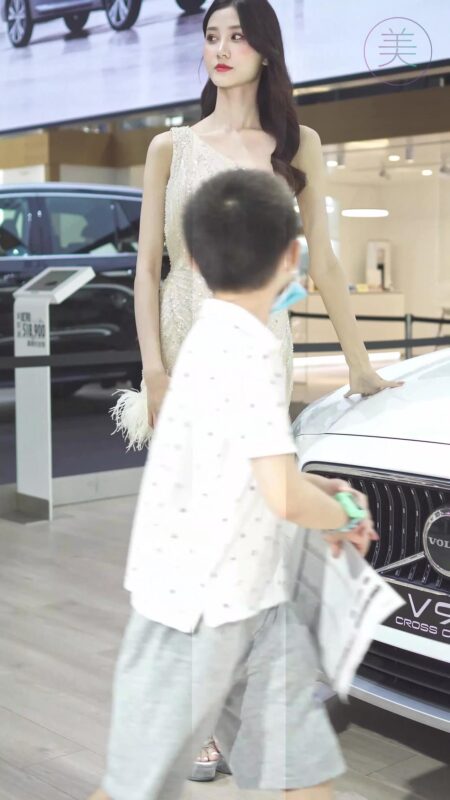 精选NO.0296 2021 深圳车展 Racing Model VOLVO车模02[20P]-草丛看图