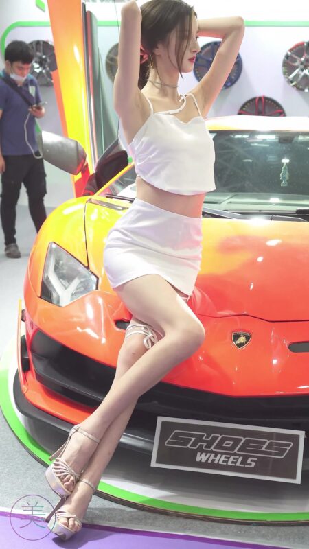 精选NO.0136 2021 佛山GTShow改装车展 Auto Salon Racing Model[20P]-草丛看图