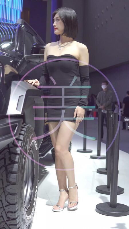 精选NO.0173 2021 广州车展 Racing Model HAVAL车模02[20P]-草丛看图