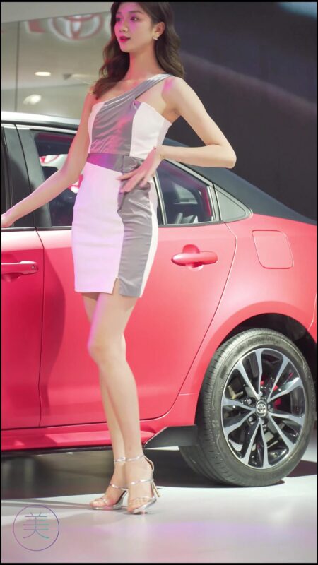 精选NO.0086 2021 东莞车展 Racing Model TOYOTA车模06[20P]-草丛看图