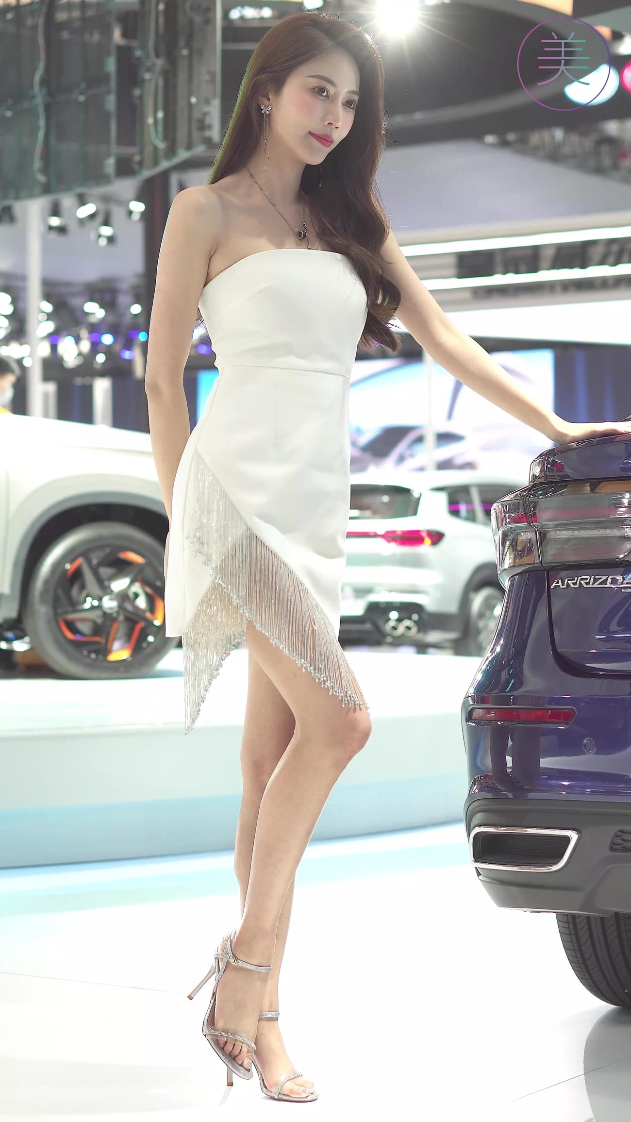 图片[7]-精选NO.0244 2021 广州车展 Racing Model 奇瑞车模12[20P]-草丛看图