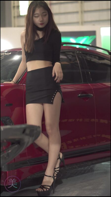 精选NO.0068 2021 东莞AIT改装车展 Auto Salon Racing Model 57[20P]-草丛看图