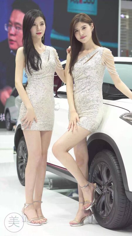 精选NO.0229 2021 广州车展 Racing Model 东风风光车模04[20P]-草丛看图