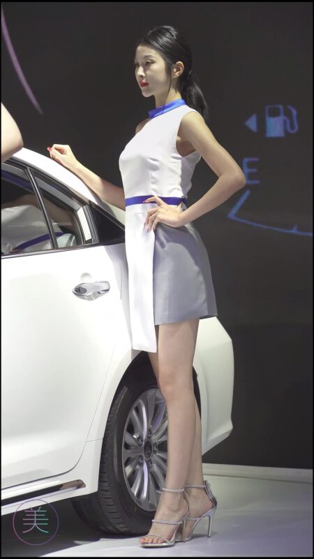 精选NO.0084 2021 东莞车展 Racing Model TOYOTA车模04[20P]-草丛看图