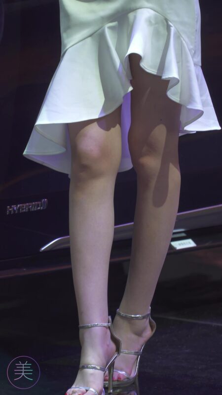 精选NO.0206 2021 广州车展 Racing Model TOYOTA车模02[20P]-草丛看图