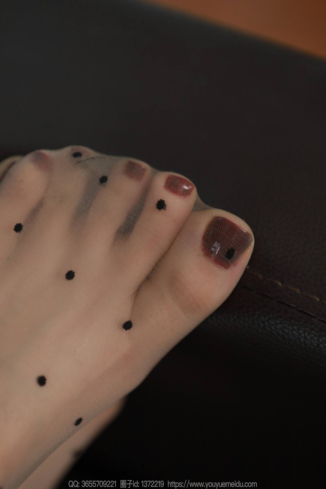 图片[8]-精选[IESS异思趣向] 2025.03.18 丝享家2004：团团《灰色波点（下）》[91P]-草丛看图