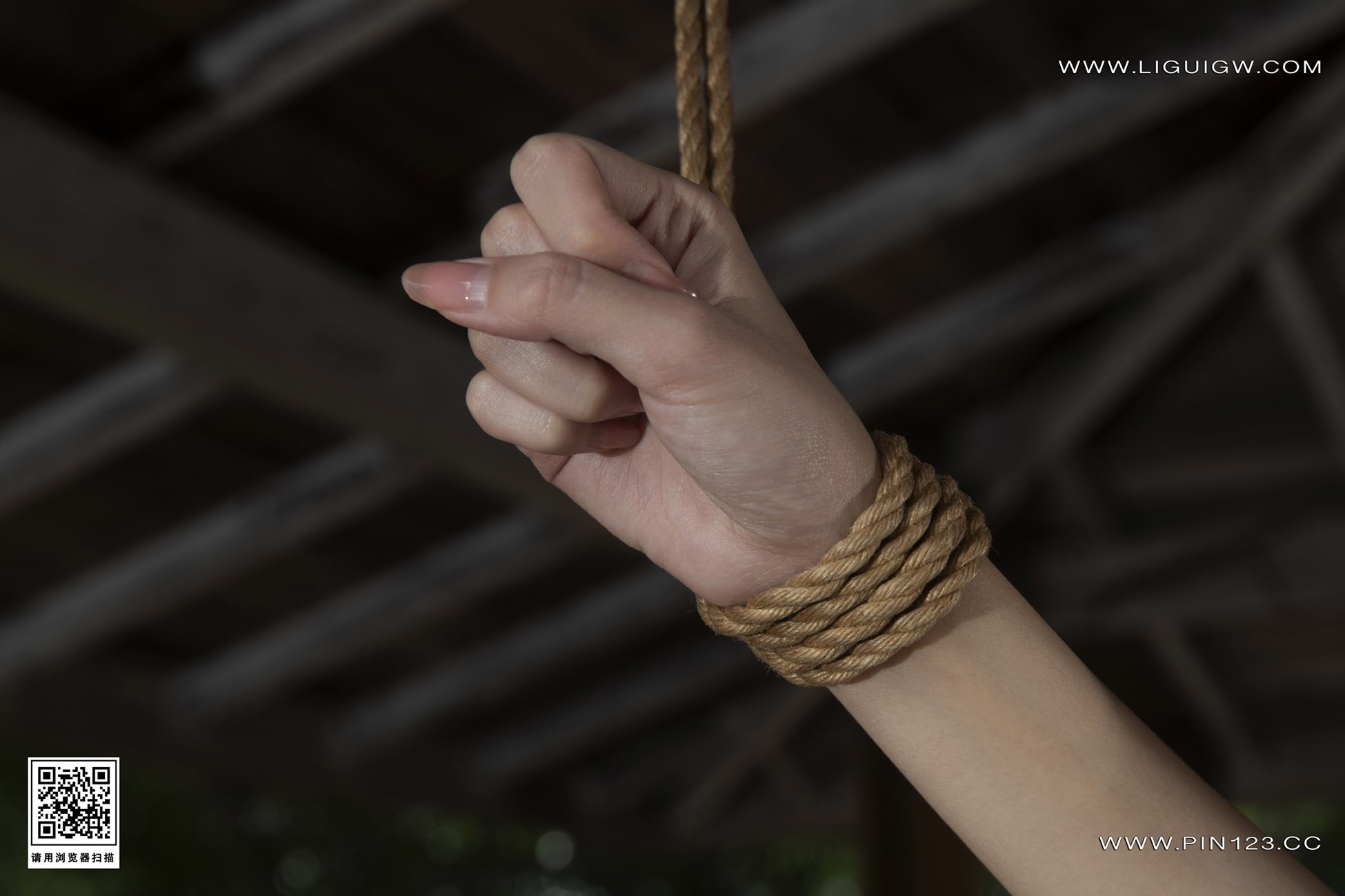 图片[5]-精选[Ligui丽柜]2024.11.01 日本旅拍1 兔子 美束版[16+1P]-草丛看图