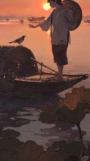 Sunrise-草丛看图
