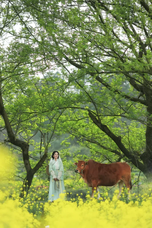 精选[YITUYU艺图语]2023.02.25 牧牛 小清菡呀[21+1P]-草丛看图