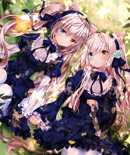 木陰の白猫ちゃんズ-草丛看图