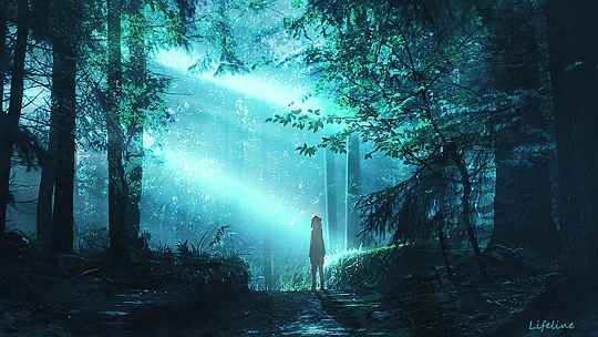 夜枫-草丛看图