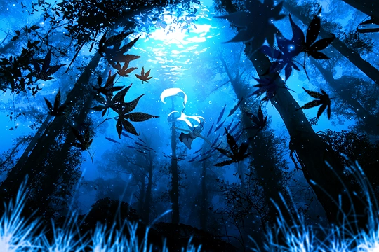 Deep Forest -森 林 之 海--草丛看图