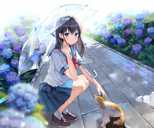 ☔🐈-草丛看图